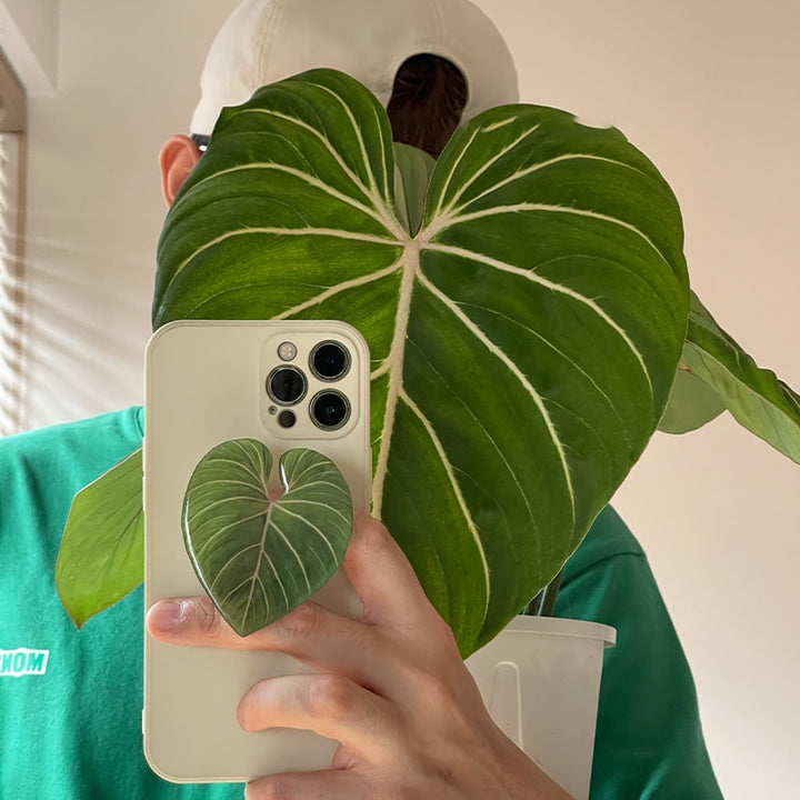 Leaf Pop Phone Holder